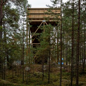Lillsved_Aktivitetspark_X2Architects (18)