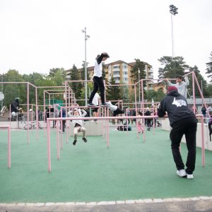 Rosa_Parken_Rissne_Parkour_X2-Architects (7)